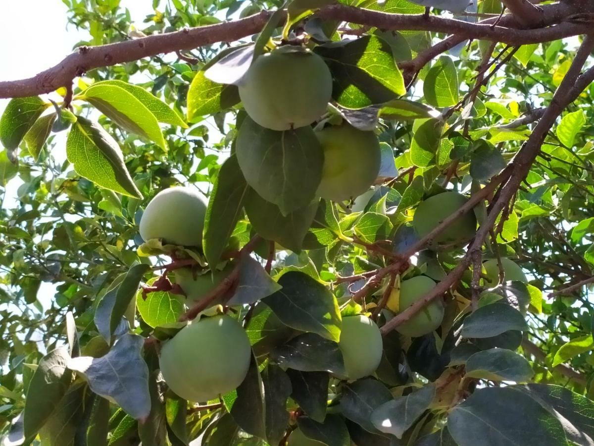 مبيت وإفطار Aci Catena Sotto L'Eremo المظهر الخارجي الصورة